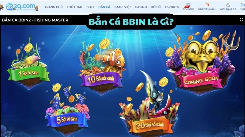 ban-ca-bbin-1