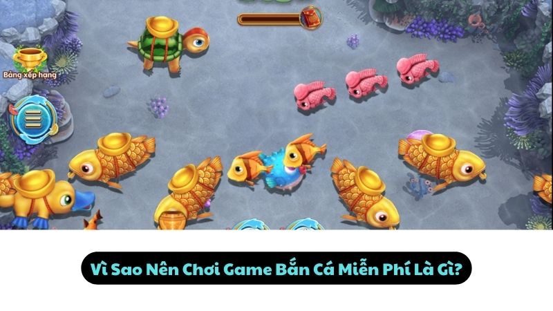 ban-ca-mien-phi-1