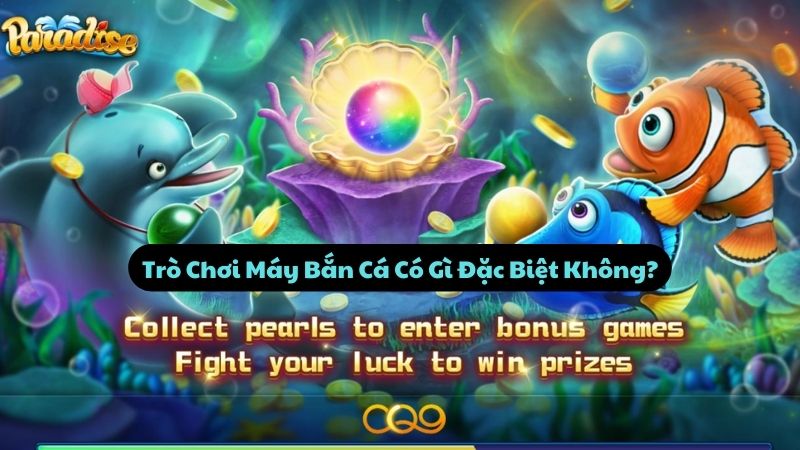 may-ban-ca-1
