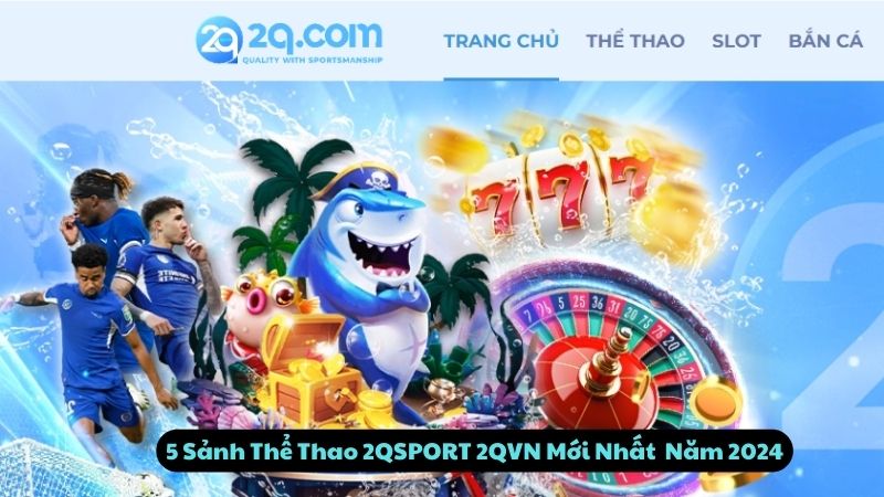 the-thao-2qsport-2