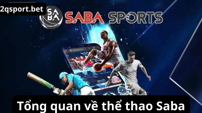 the-thao-saba-1