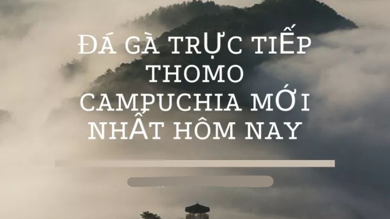 Đánh giá các trang web cung cấp dịch vụ đá gà trực tiếp cpc3 uy tín và an toàn