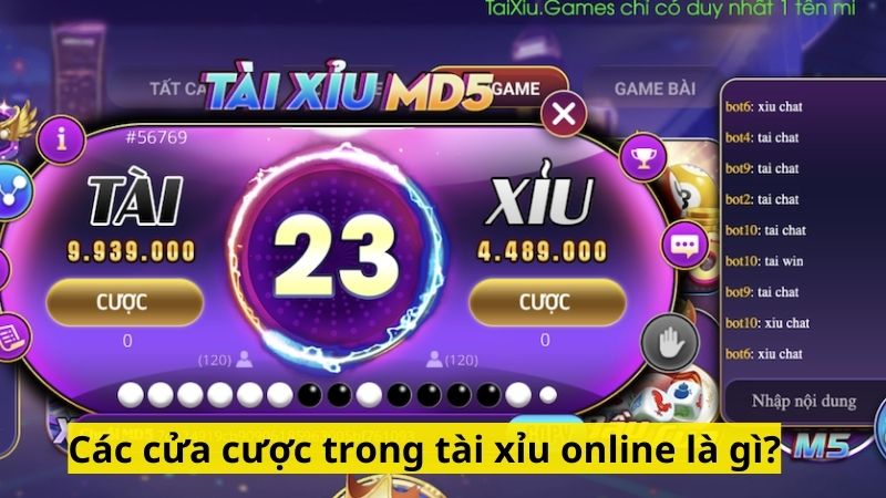 Các cửa cược trong tài xỉu online là gì?