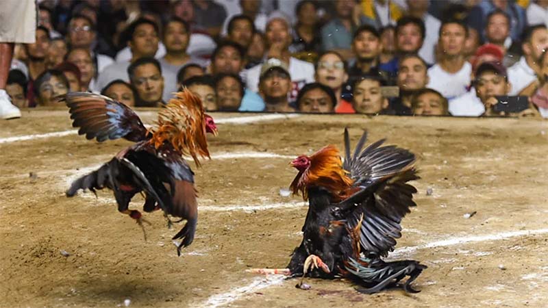 Kinh nghiệm và áp dụng chiến thuật hiệu quả đóng vai trò quan trọng