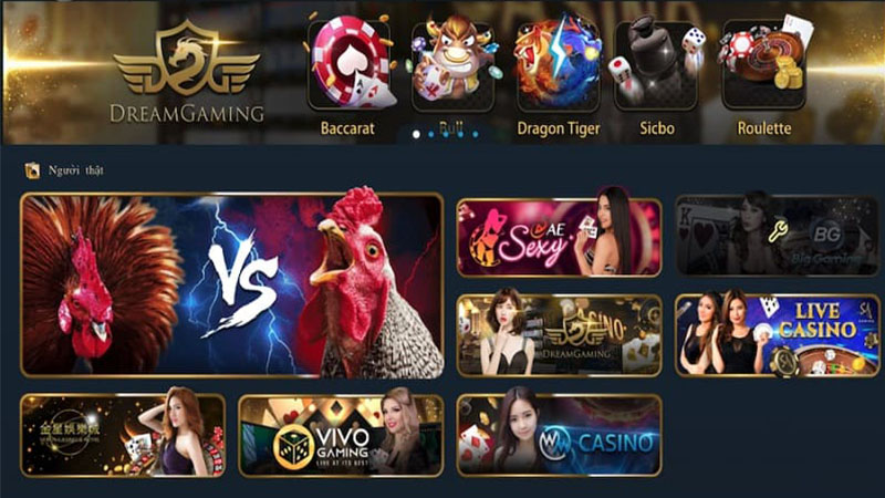 Việc chọn sàn đá gà online uy tín là yếu tố quan trọng