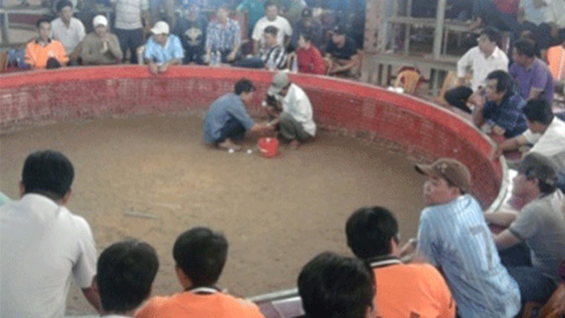 Campuchia là một trong những quốc gia có truyền thống đá gà lâu đời nhất