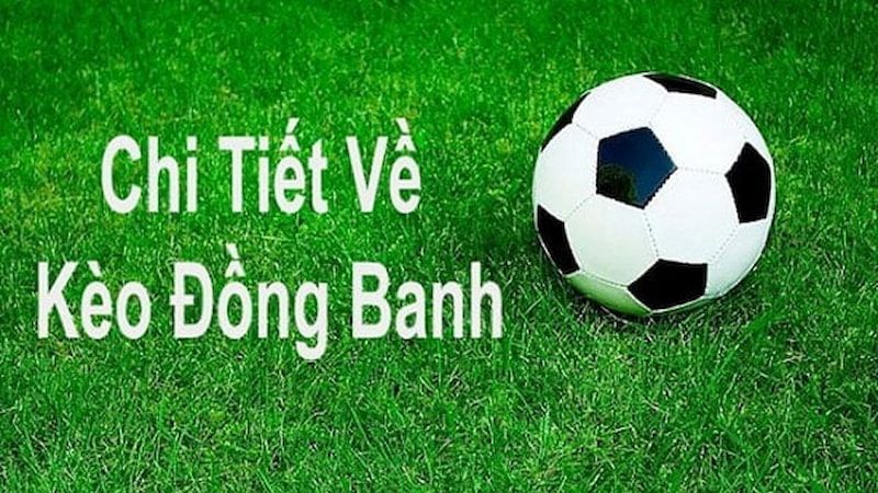 keo-chap-dong-banh-la-gi-2