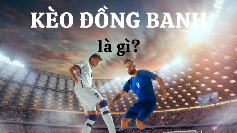 keo-chap-dong-banh-la-gi-1
