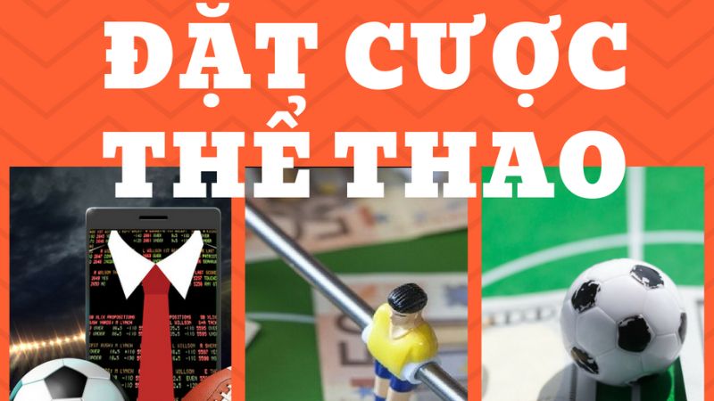 sanh-the-thao-77sports-2