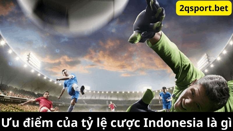 ty-le-keo-indonesia-la-gi-2