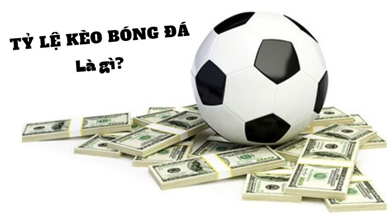 ty-le-keo-bong-da-1