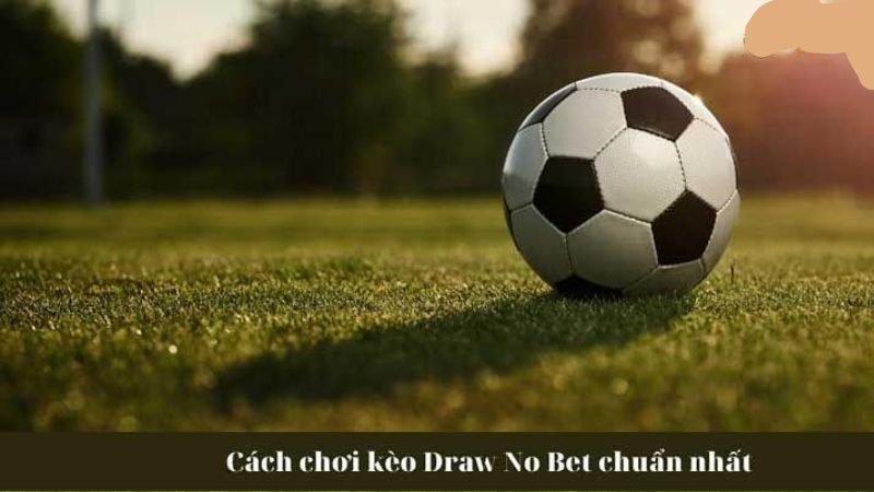 keo-draw-no-bet-2