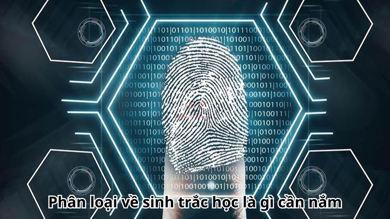 sinh-trac-hoc-la-gi-4