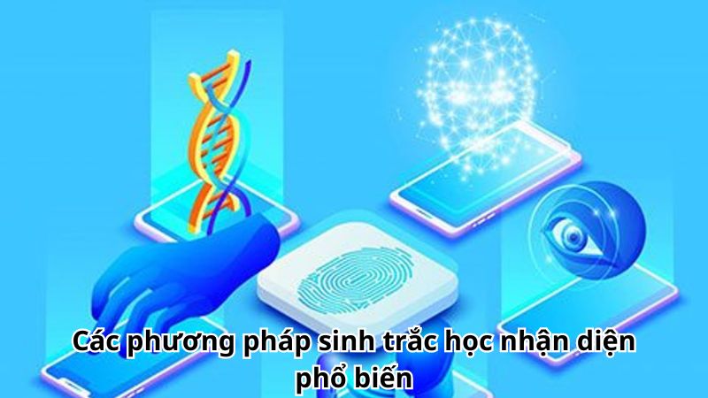sinh-trac-hoc-nhan-dien-2