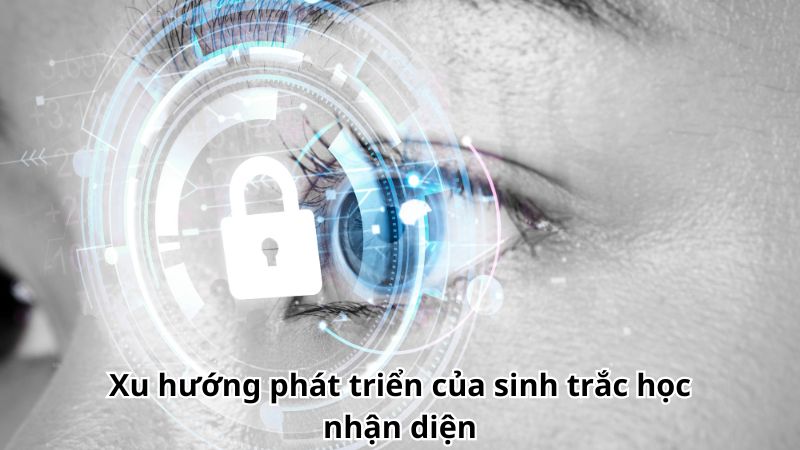 sinh-trac-hoc-nhan-dien-3