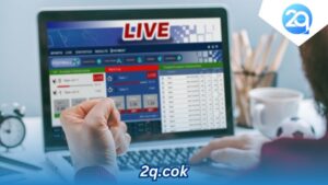 2q.cok - Địa chỉ cá cược trực tuyến uy tín không thể bỏ lỡ
