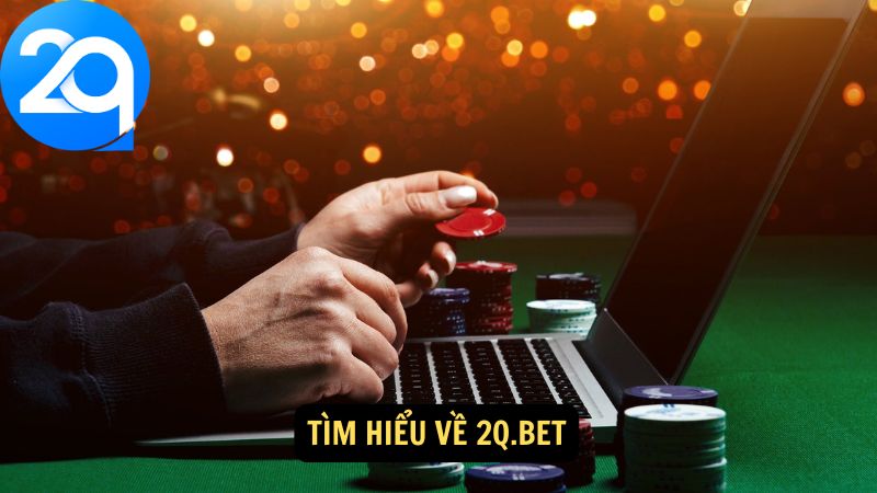 tim-hieu-2q-bet-1