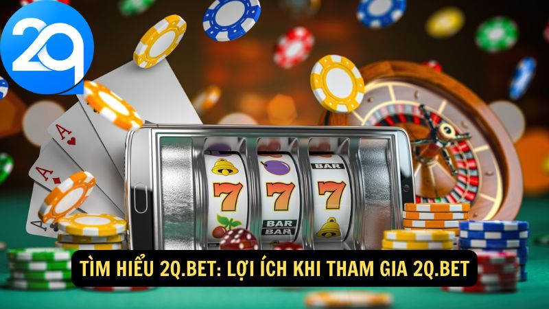 tim-hieu-2q-bet-2