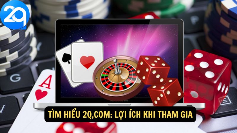 tim-hieu-2q-com-3