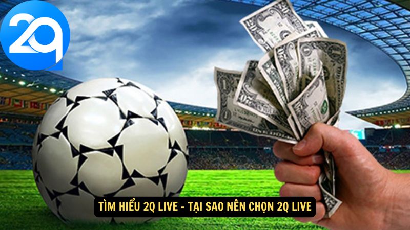 tim-hieu-2q-live-3