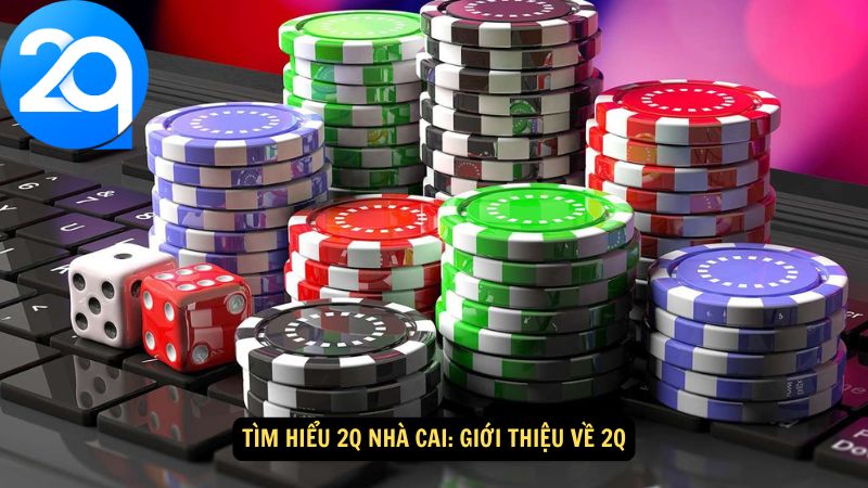 tim-hieu-2q-nha-cai-1