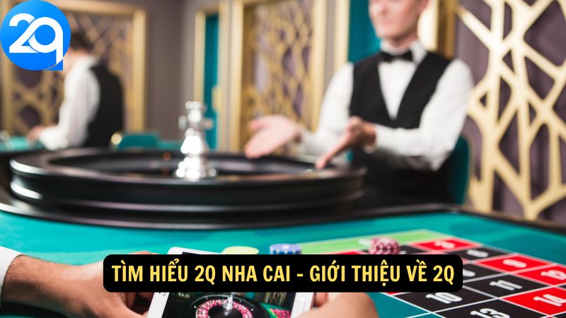tim-hieu-2q-nha-cai-1