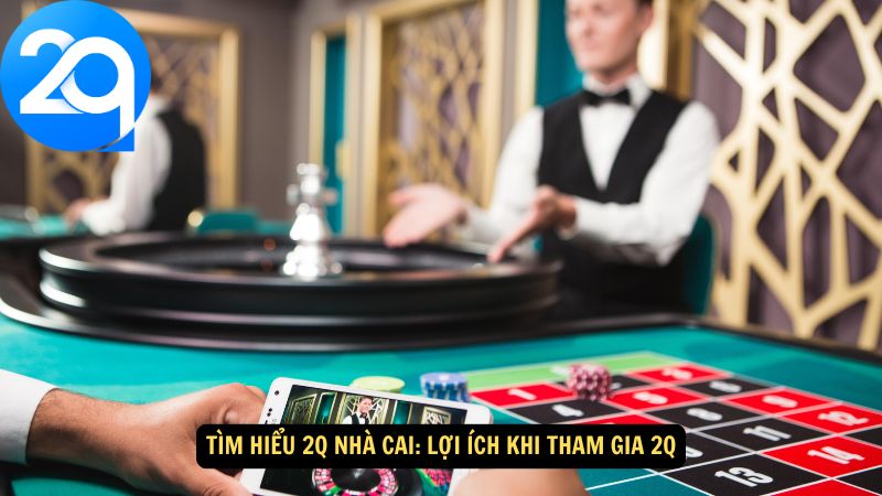 tim-hieu-2q-nha-cai-2