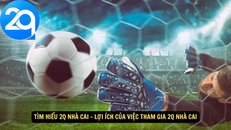 tim-hieu-2q-nha-cai-3