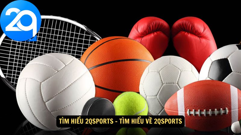 tim-hieu-2qsports-1