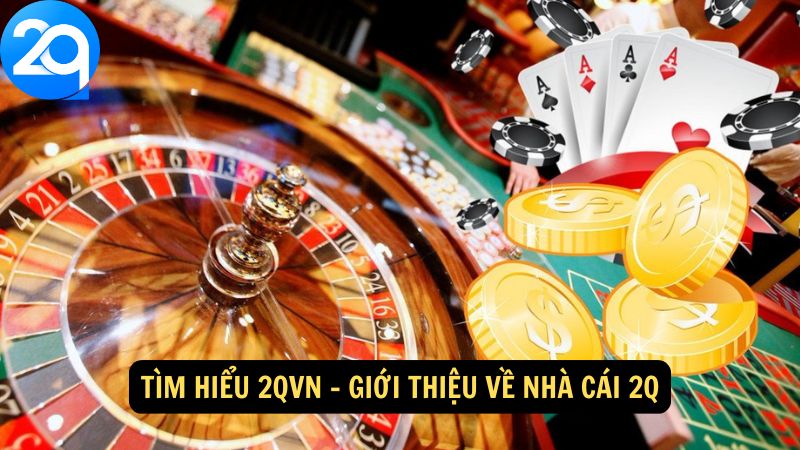 tim-hieu-2qvn-1