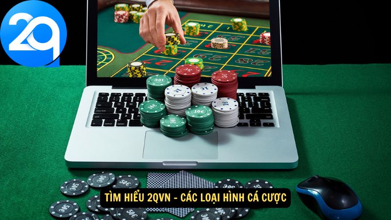 tim-hieu-2qvn-2