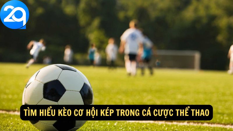 tim-hieu-keo-co-hoi-kep-1