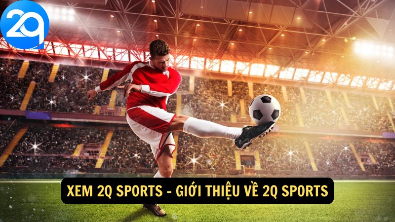 xem-2q-sports-1