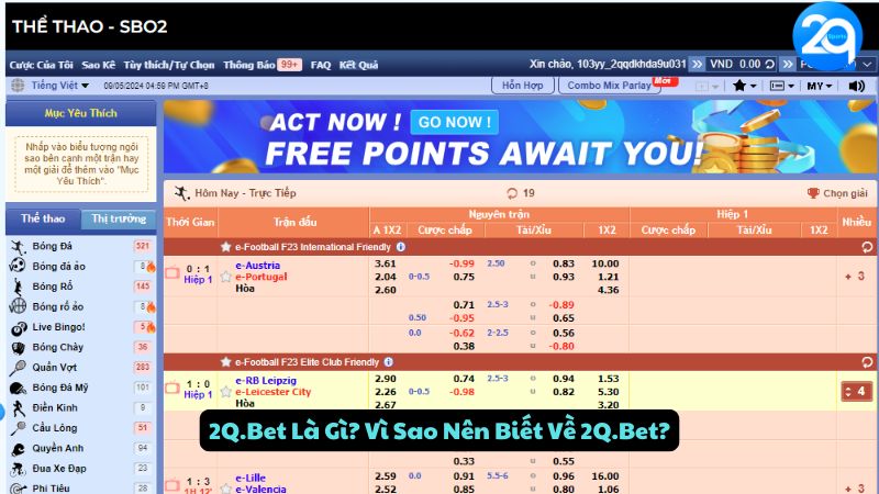 2q-bet-la-gi-1