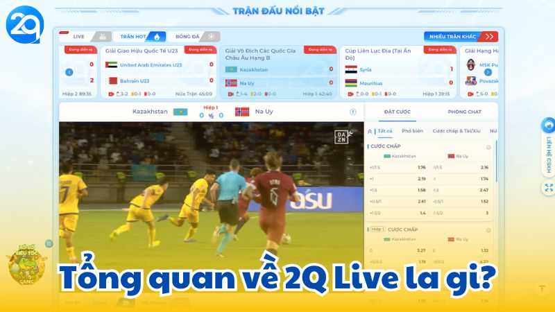 2q-live-la-gi-1