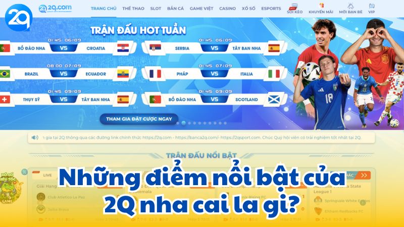 2q-nha-cai-la-gi-1