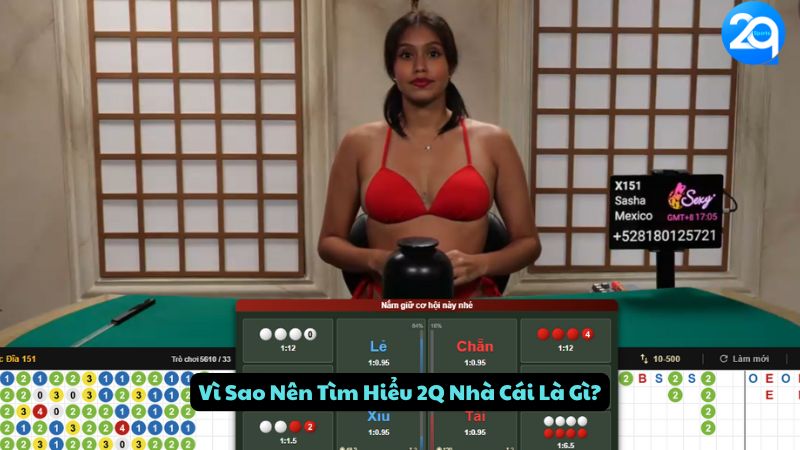 2q-nha-cai-la-gi-1
