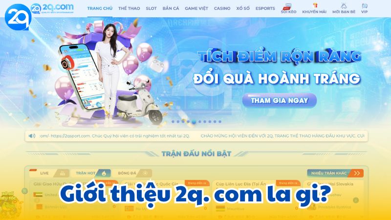 2q.-com-la-gi-1
