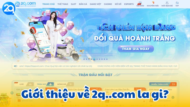 2q..com-la-gi-1