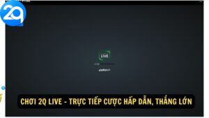 Chơi 2Q Live - Trực tiếp cược hấp dẫn, thắng lớn
