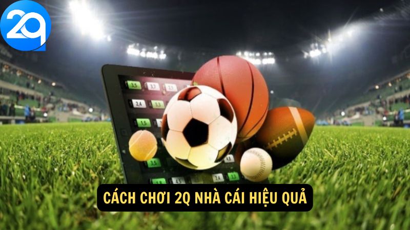 choi-2q-nha-cai-2