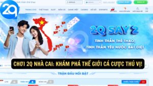 Chơi 2Q Nhà Cai: Khám Phá Thế Giới Cá Cược Thú Vị!