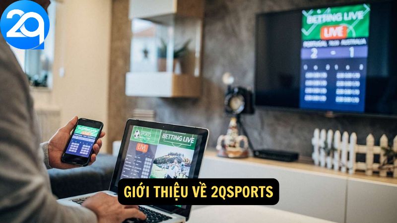 choi-2qsports-1