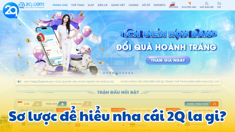 nha-cai-2q-la-gi-1