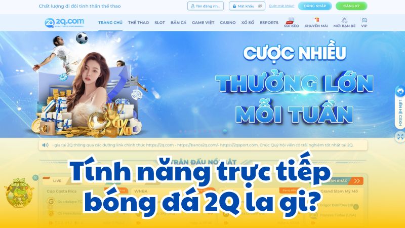 truc-tiep-bong-da-2q-la-gi-2