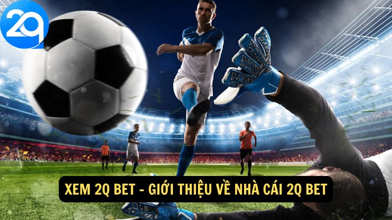 xem-2q-bet-1