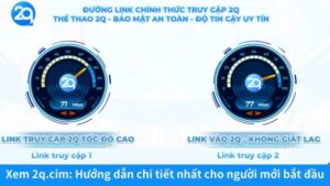 Xem 2q.cim: Hướng dẫn chi tiết nhất cho người mới bắt đầu