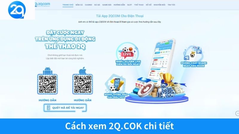 xem-2q-cok-1