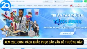 Xem 2q(.)com: Cách Khắc Phục Các Vấn Đề Thường Gặp