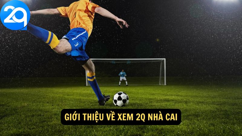 xem-2q-nha-cai-1